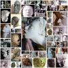 A_Few_of_the_Portraits.jpg